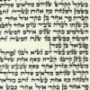 משה-ארביב-מעובד-768x768