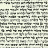 משה-ארביב-מעובד3-768x768