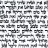 אוזן2-768x768