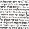 פריד-768x768