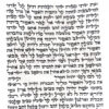 פריד1-768x768