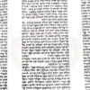 פריד3-768x768