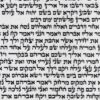 תרשיש סיני2