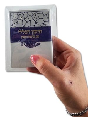 תיקון הכללי -מיני דגם כחול עמוק