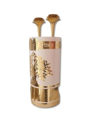 בית לספר תורה דגם - אור בראשית